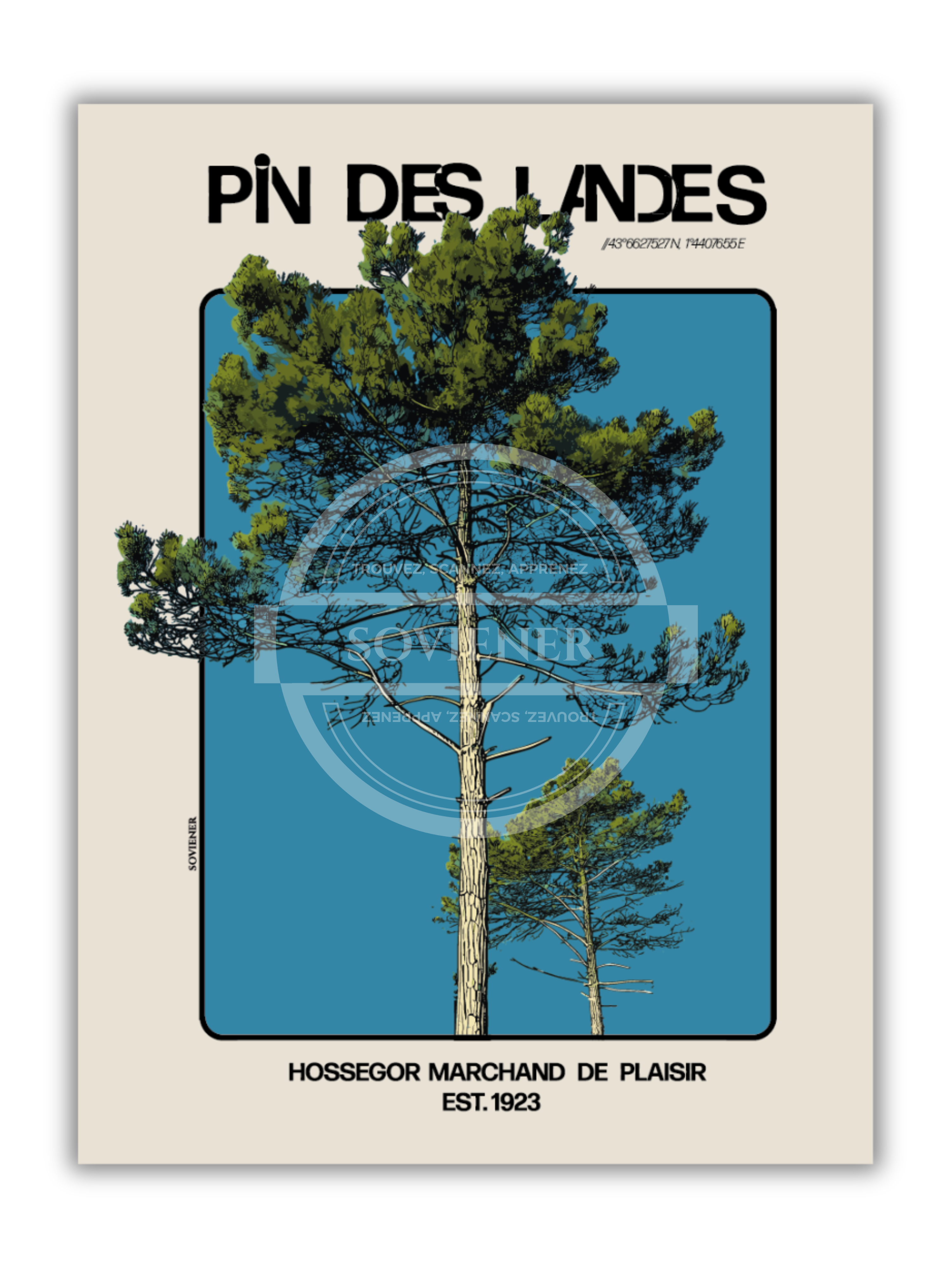 Affiche PIN DES LANDES - Hossegor