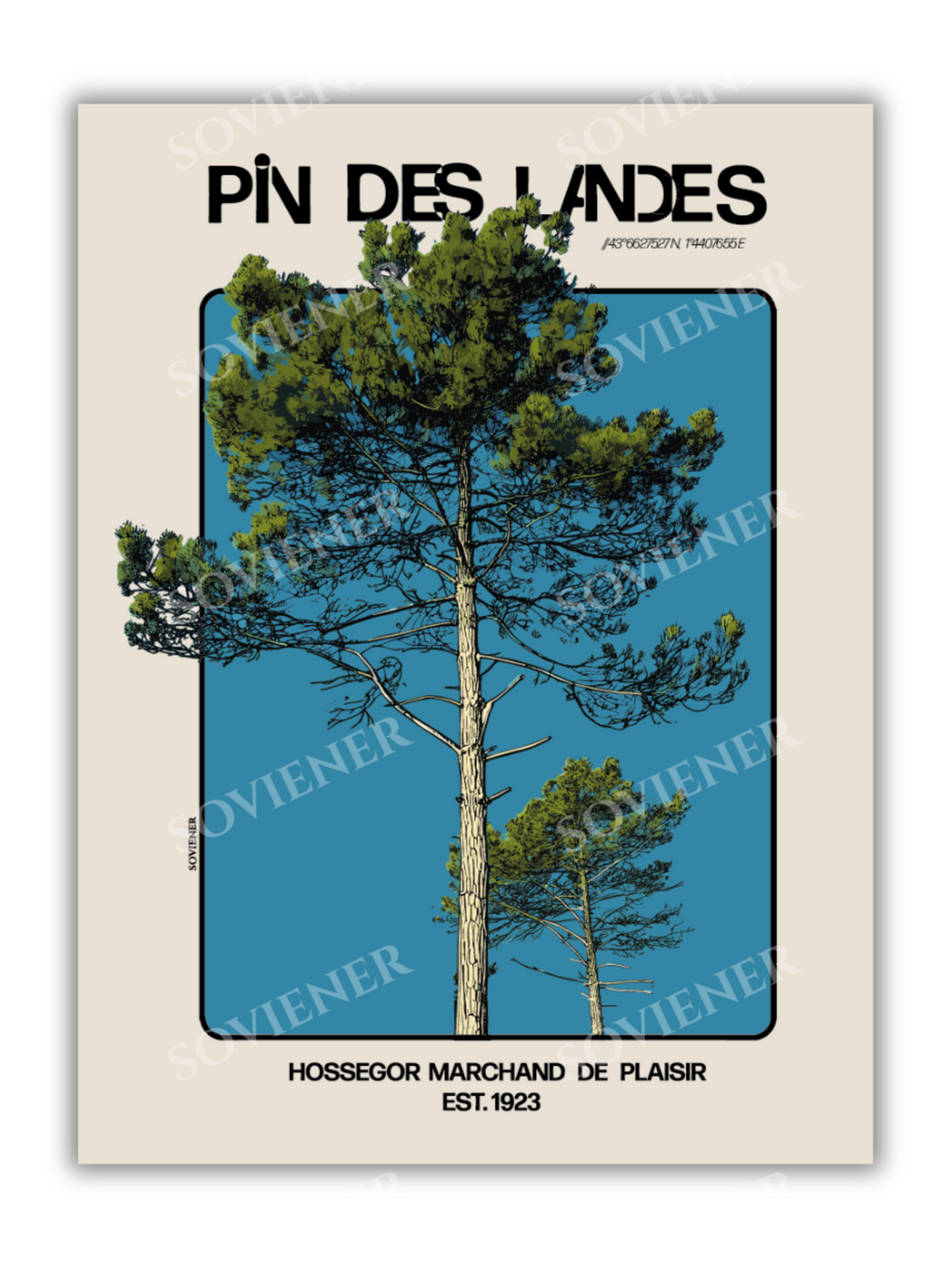 Affiche PIN DES LANDES - Hossegor
