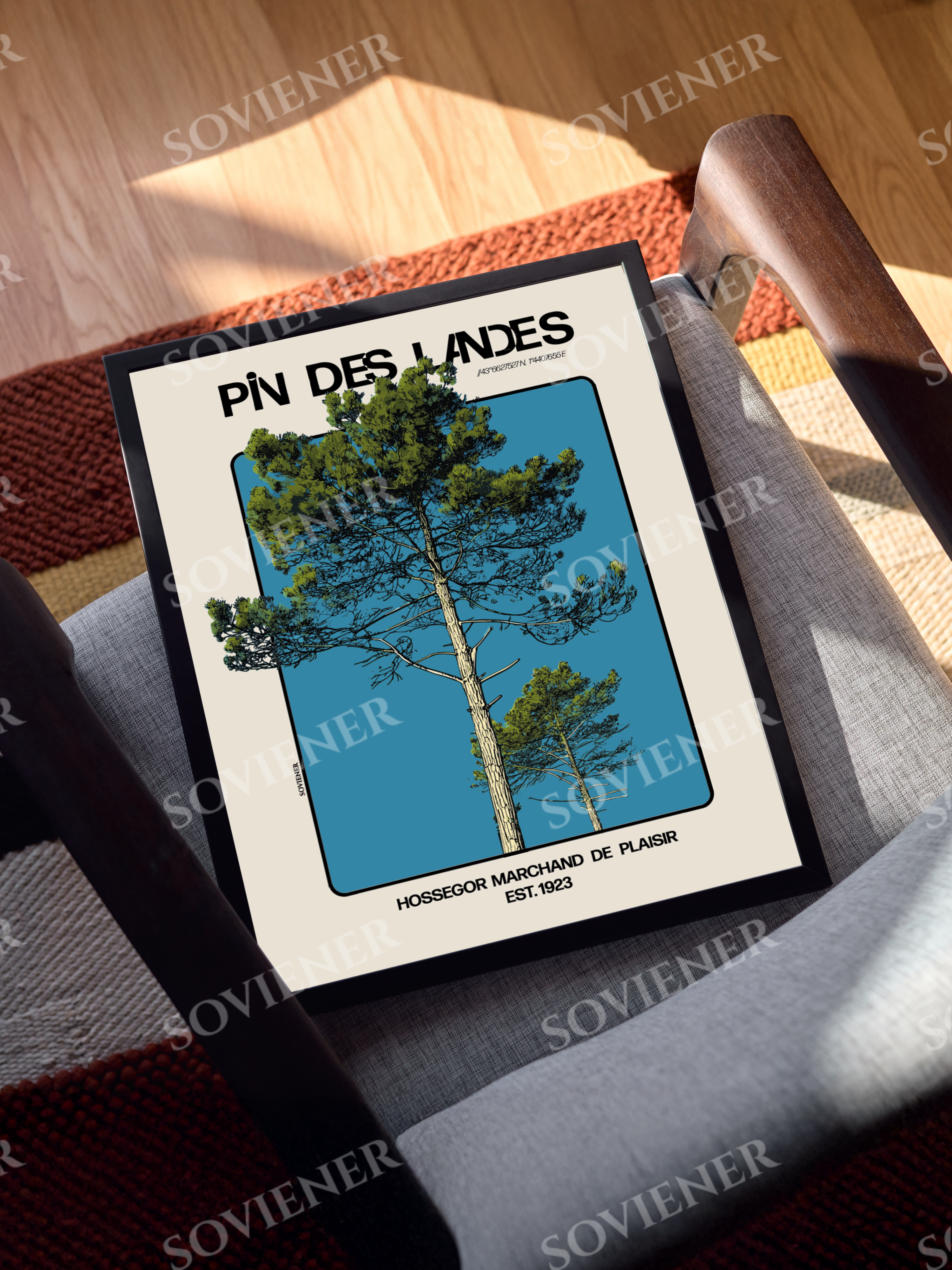 Affiche PIN DES LANDES - Hossegor