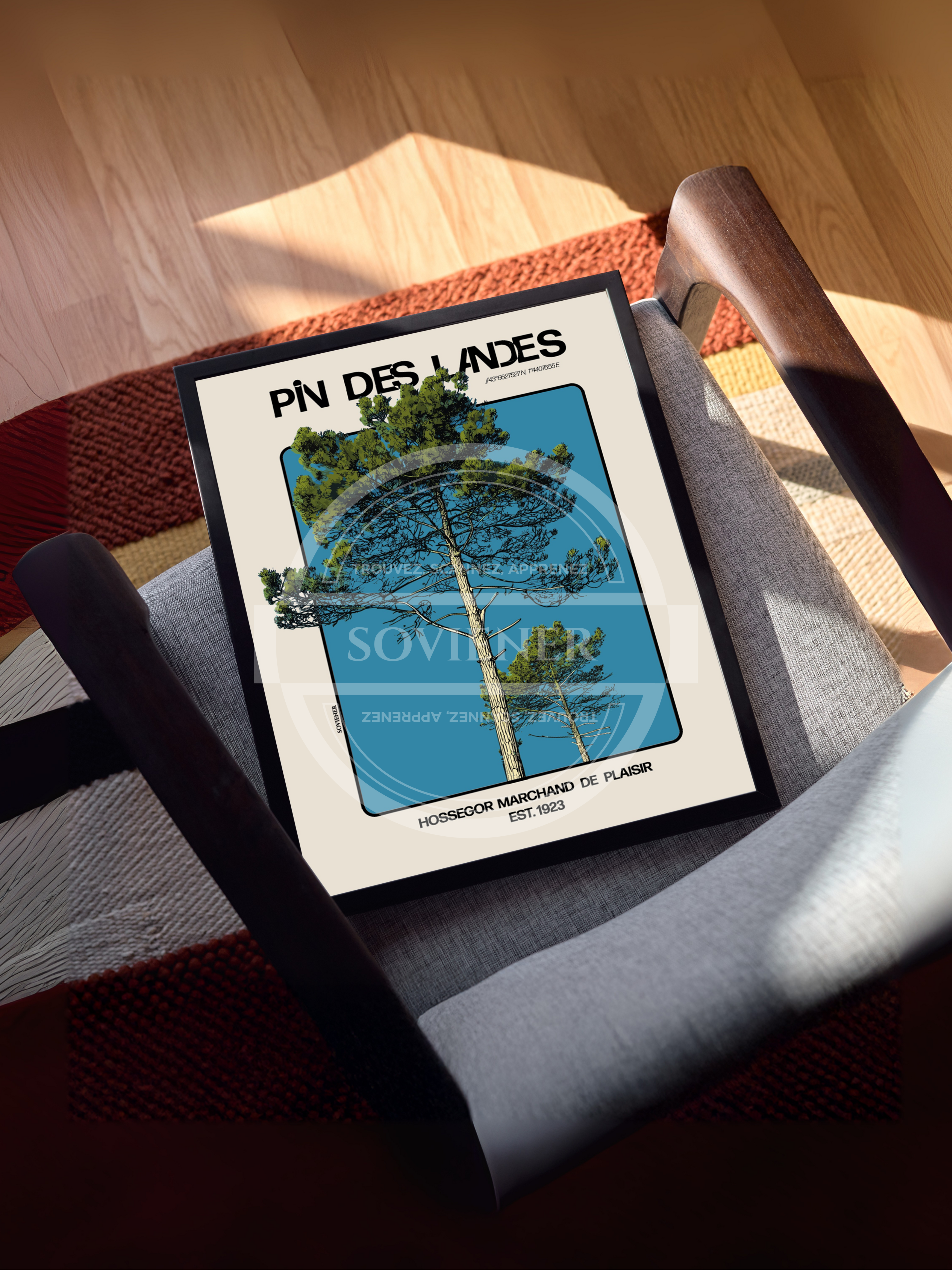 Affiche PIN DES LANDES - Hossegor